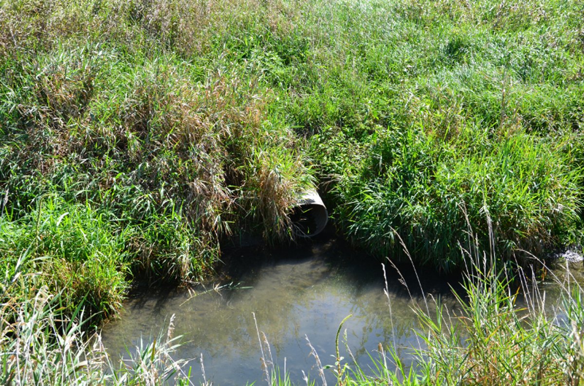 Property photo 2 - 66.9+/- Acres Offered in 2 Tracts - Mostly Tillable Farmland